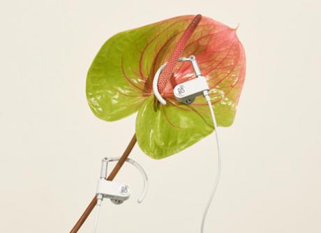 B&O PLAY: Evolution af dansk designikon