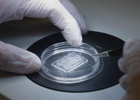 MEMS-producent får vigtig medico-kvalificering