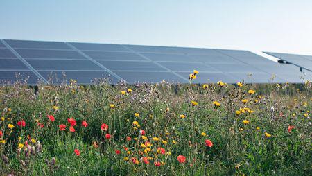 Better Energy lancerer ny type solcellepark til lavbundsjorder