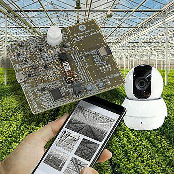 Automatisk billed-genkendelse i IoT-enheder