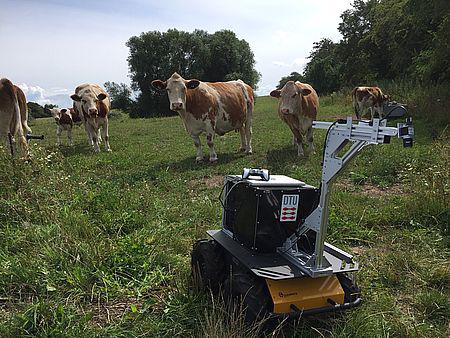 DTU-robot trænes til at fjerne ukrudt fra økologiske marker