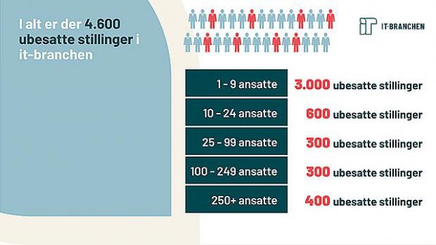 Historisk mangel på IT-medarbejdere