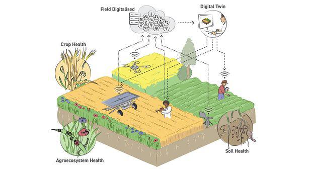 Robotter, overvågning og sunde økosystemer kan halvere pesticidbrug