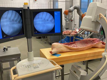 Røntgen og kunstig intelligens skal optimere fødevareproduktion