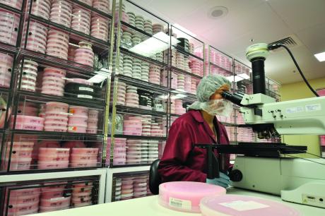 Rochester kan nu lagre over 30 milliarder chip-dies